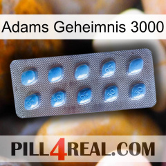 Adams Secret 3000 viagra3